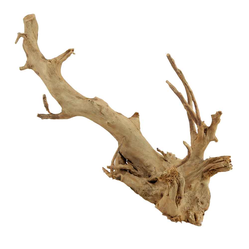 Legno Branch Wood 2207 con foto reale e misure 28x16x24h cm