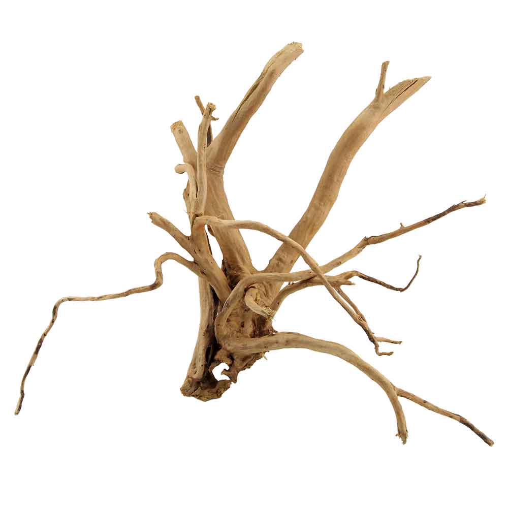 Legno Branch Wood 2208 con foto reale e misure 47x25x38h cm