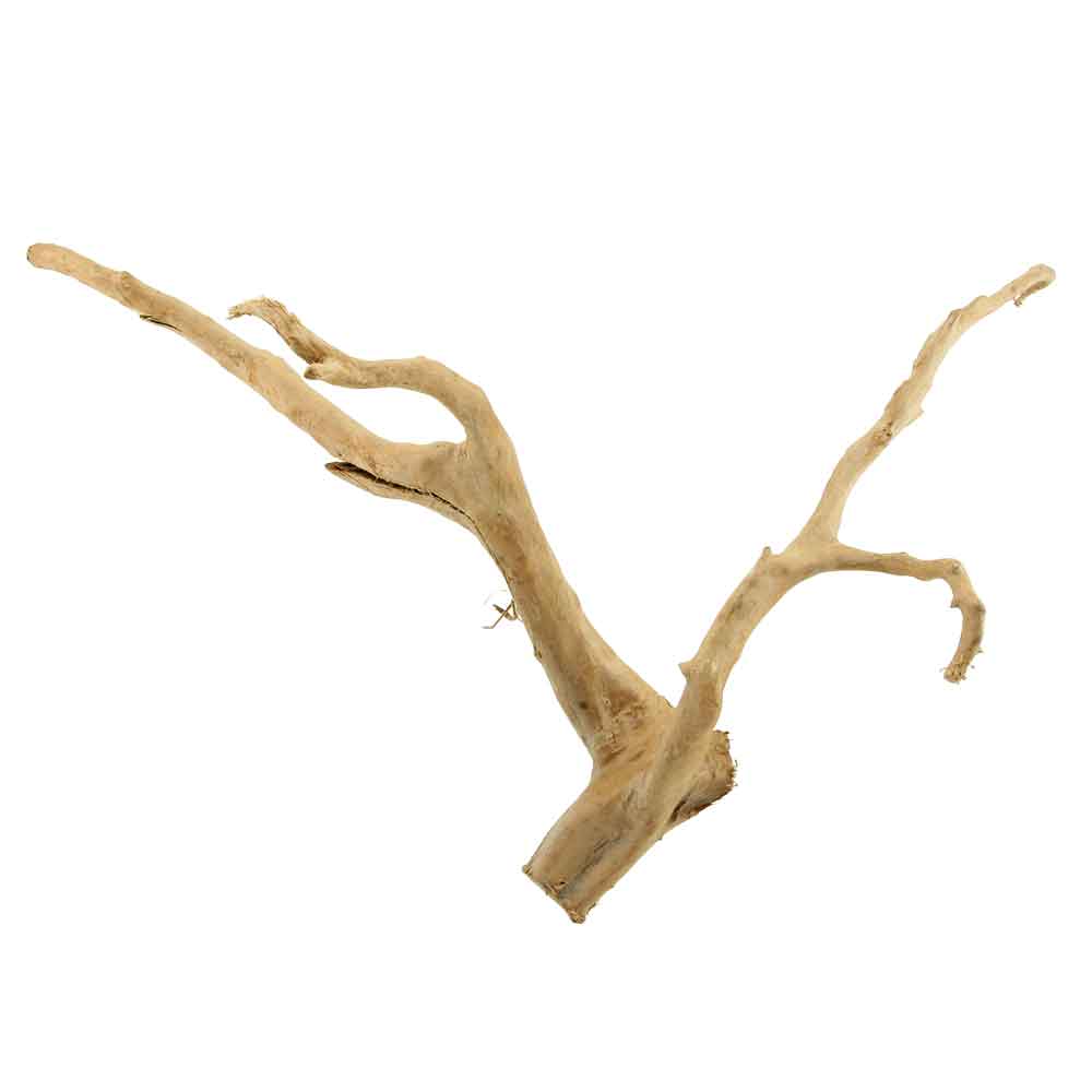 Legno Branch Wood 2209 con foto reale e misure 49x20x30h cm