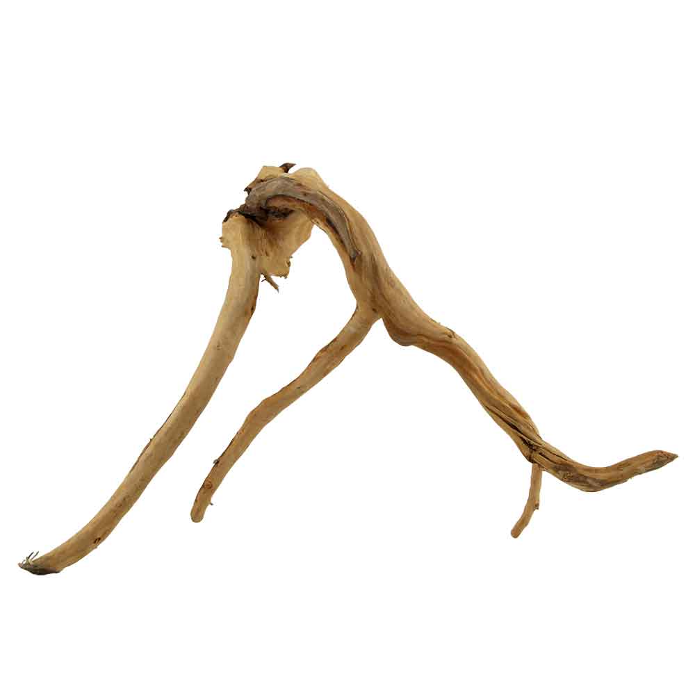 Legno Branch Wood 2216 con foto reale e misure 44x20x28h cm