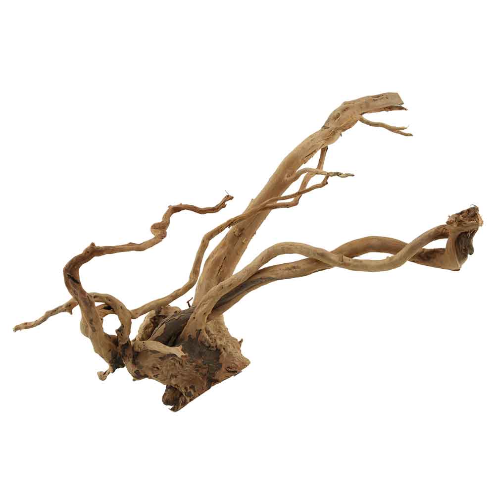 Legno Branch Wood 2218 con foto reale e misure 42x27x33h cm