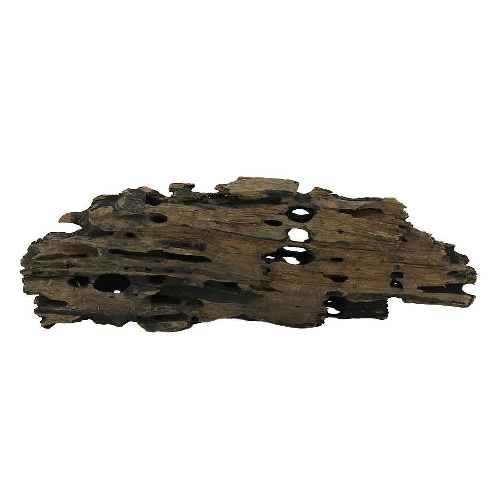 Legno Honey Comb M 49 con foto reale e misure 37x7x13h cm