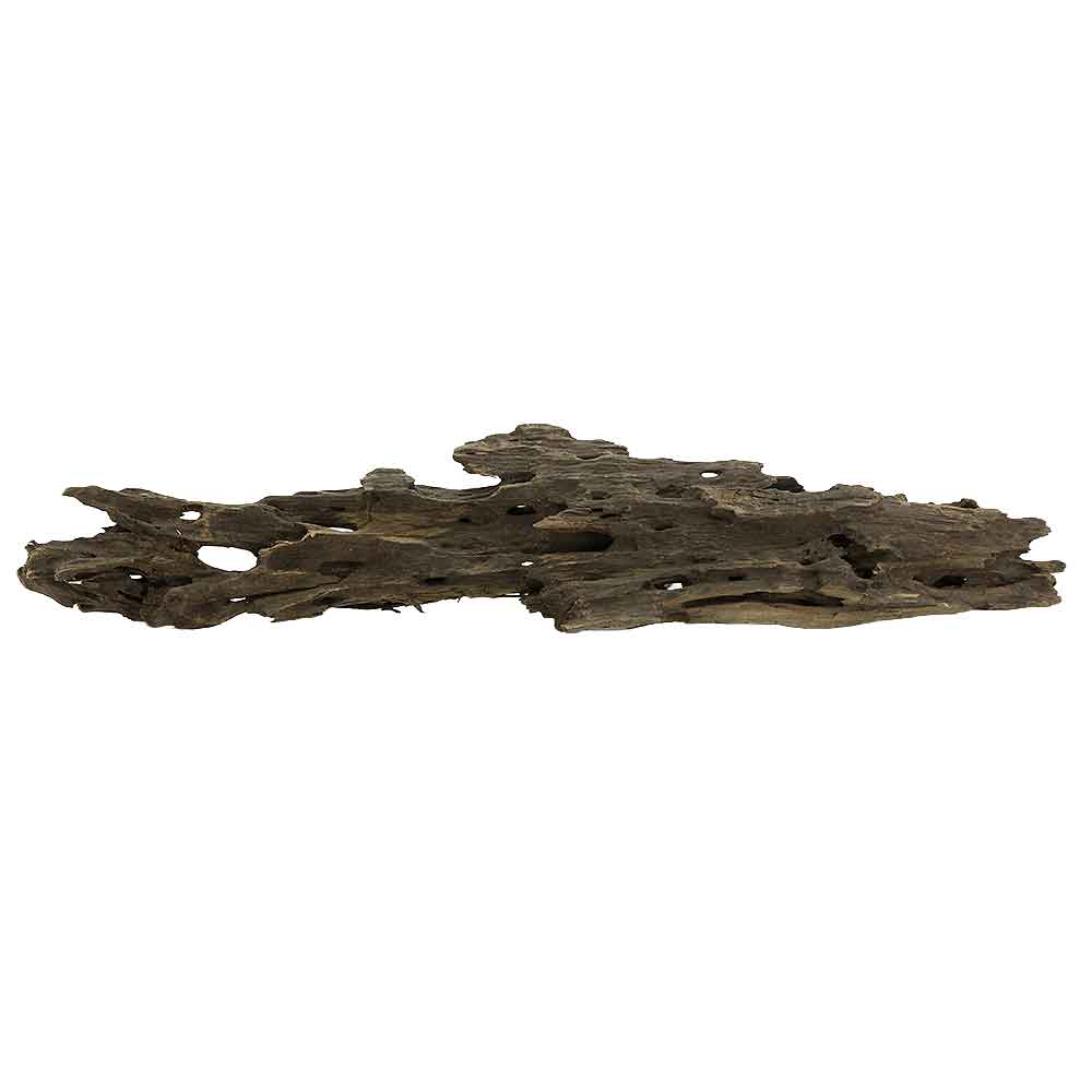 Legno Honey Comb M 53 con foto reale e misure 48x8x10h cm