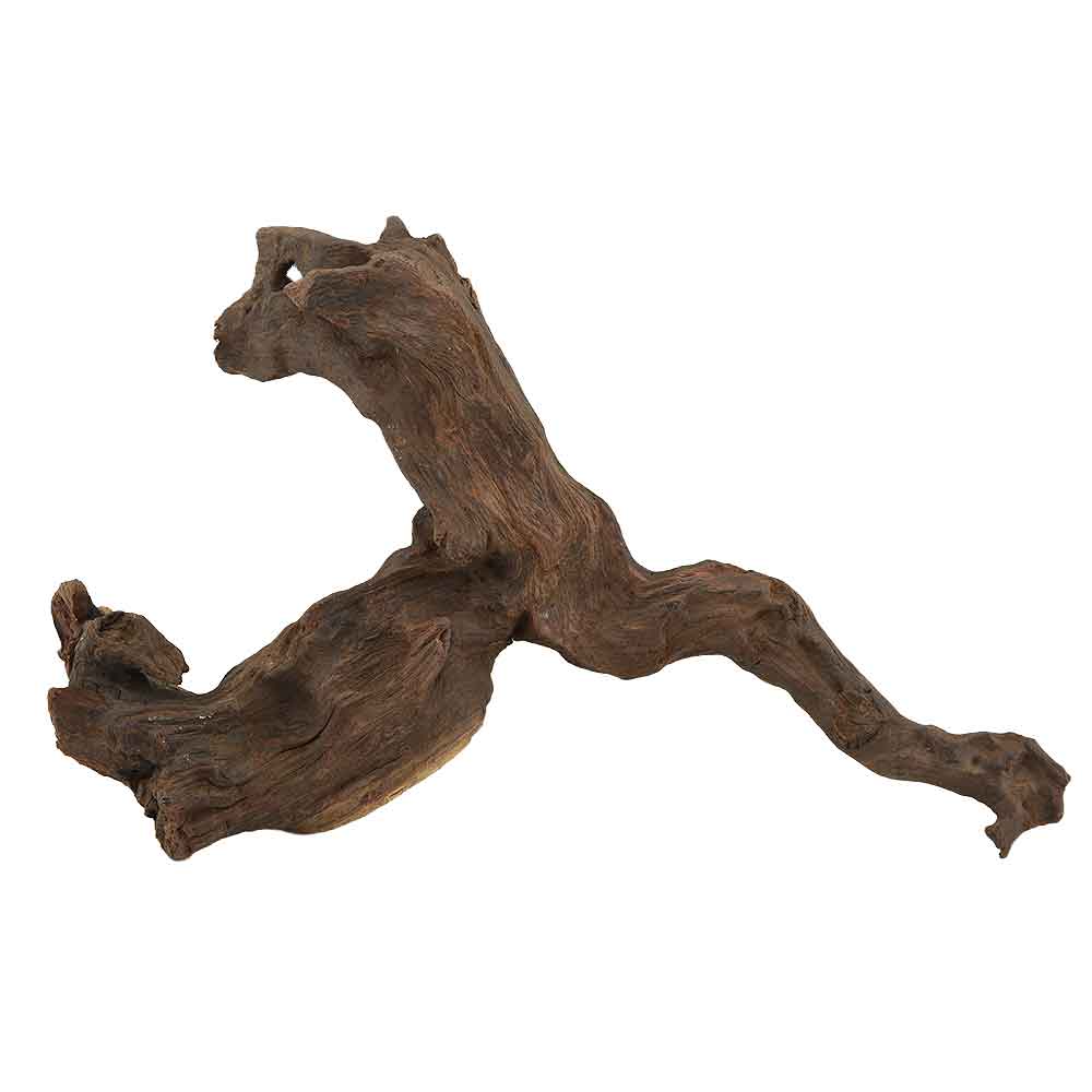 Legno Amazzonia  9 con foto reale e misure 29x7x18h cm