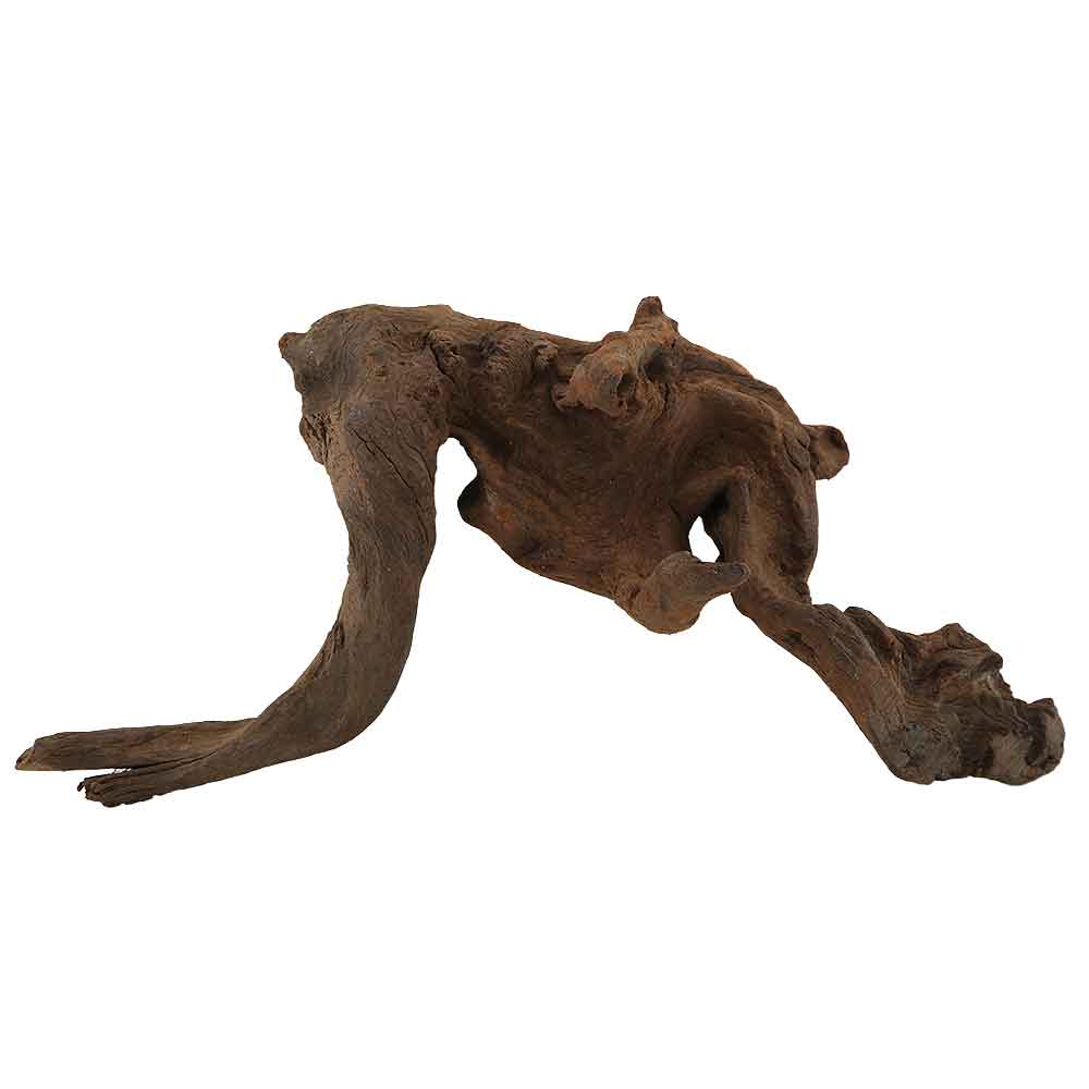 Legno Amazzonia  10 con foto reale e misure 27x9x13h cm