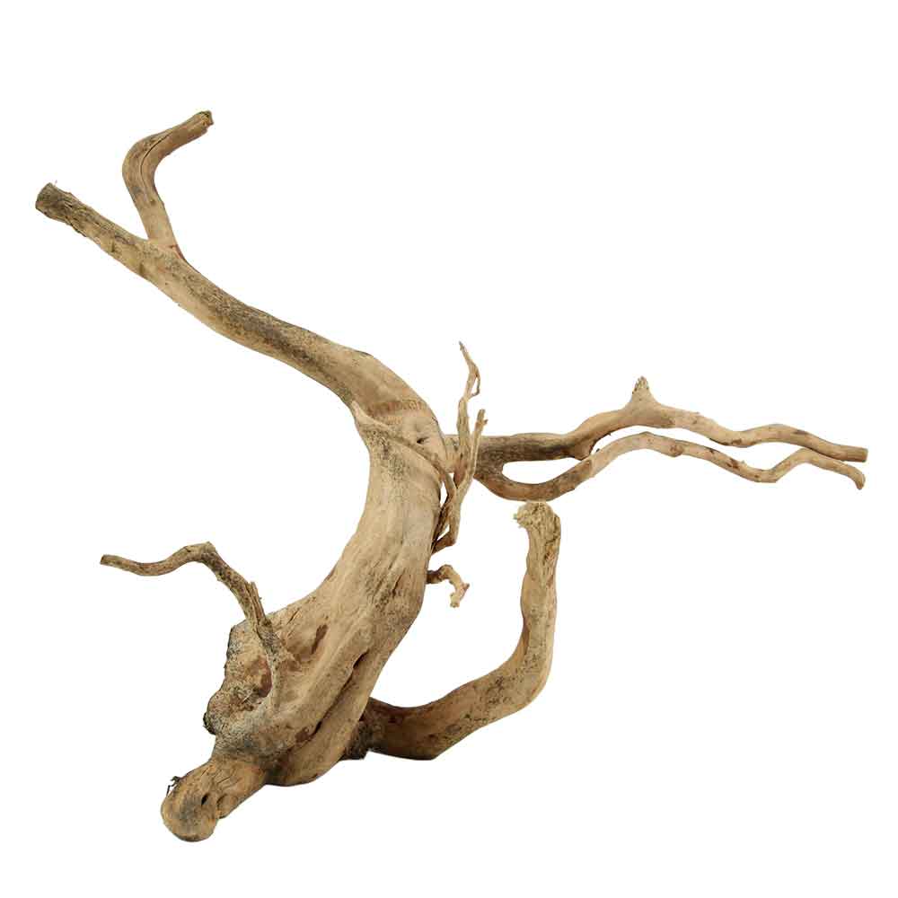 Legno Branch Wood 2229 con foto reale e misure 55x21x40h cm