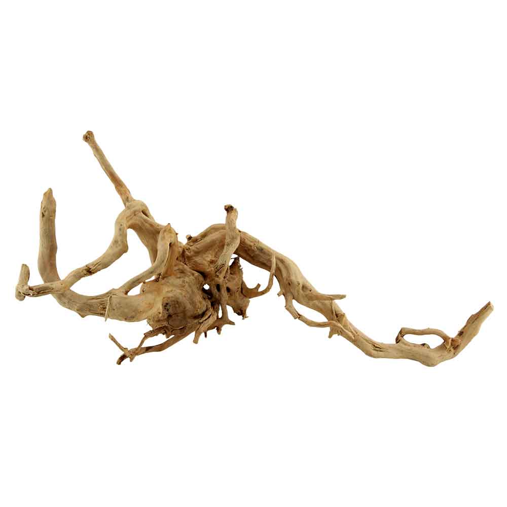 Legno Branch Wood 2233 con foto reale e misure 67x23x35h cm