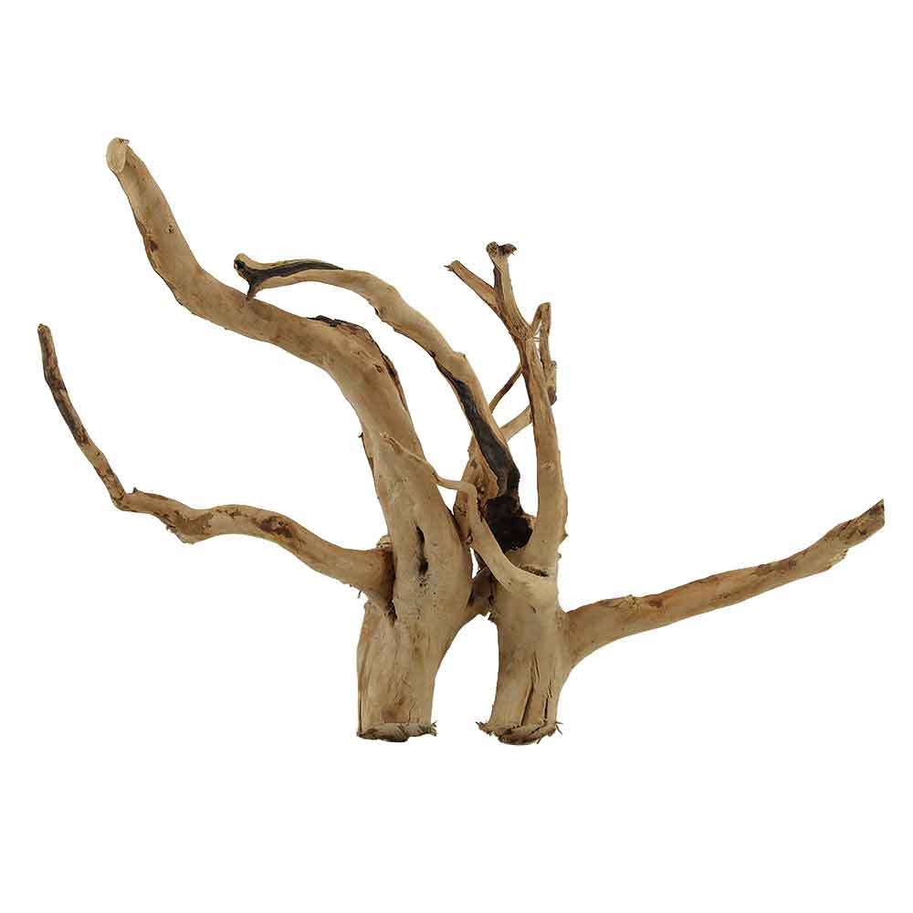 Legno Branch Wood 2238 con foto reale e misure 38x14x30h cm