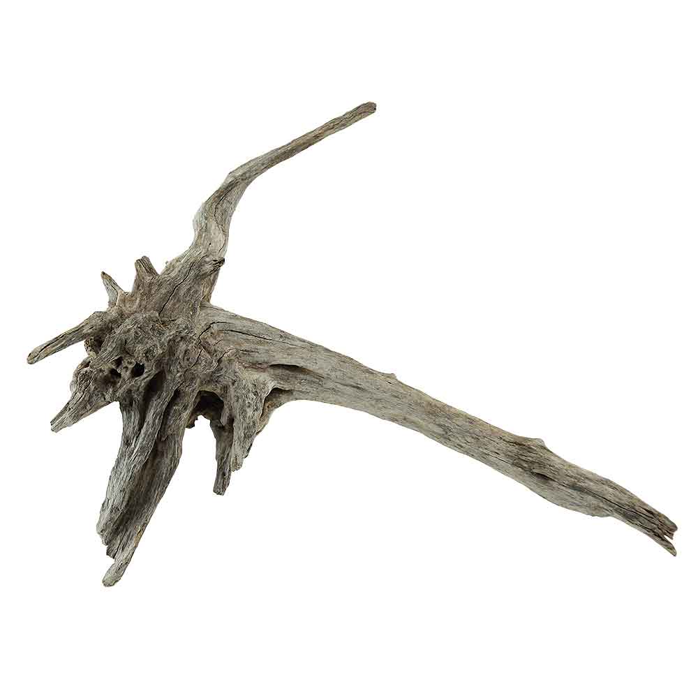 Legno Drift Wood 116 con foto reale e misure 30x13x22h cm