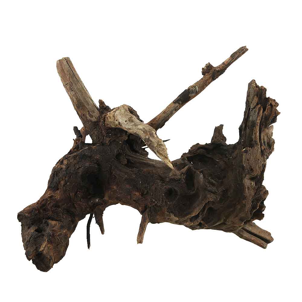 Legno Drift Wood 118 con foto reale e misure 26x21x23h cm