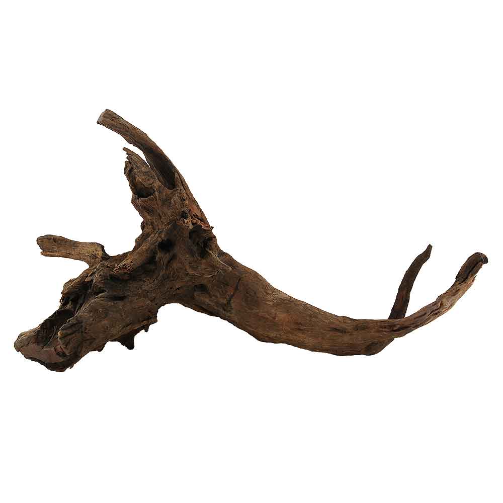 Legno Drift Wood XL 123 con foto reale e misure 23x21x39h