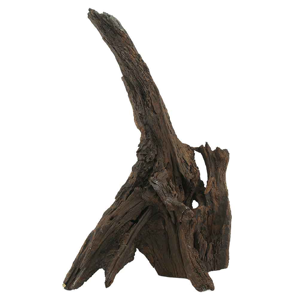 Legno Drift Wood XL 138 con foto reale e misure 38x23x62h