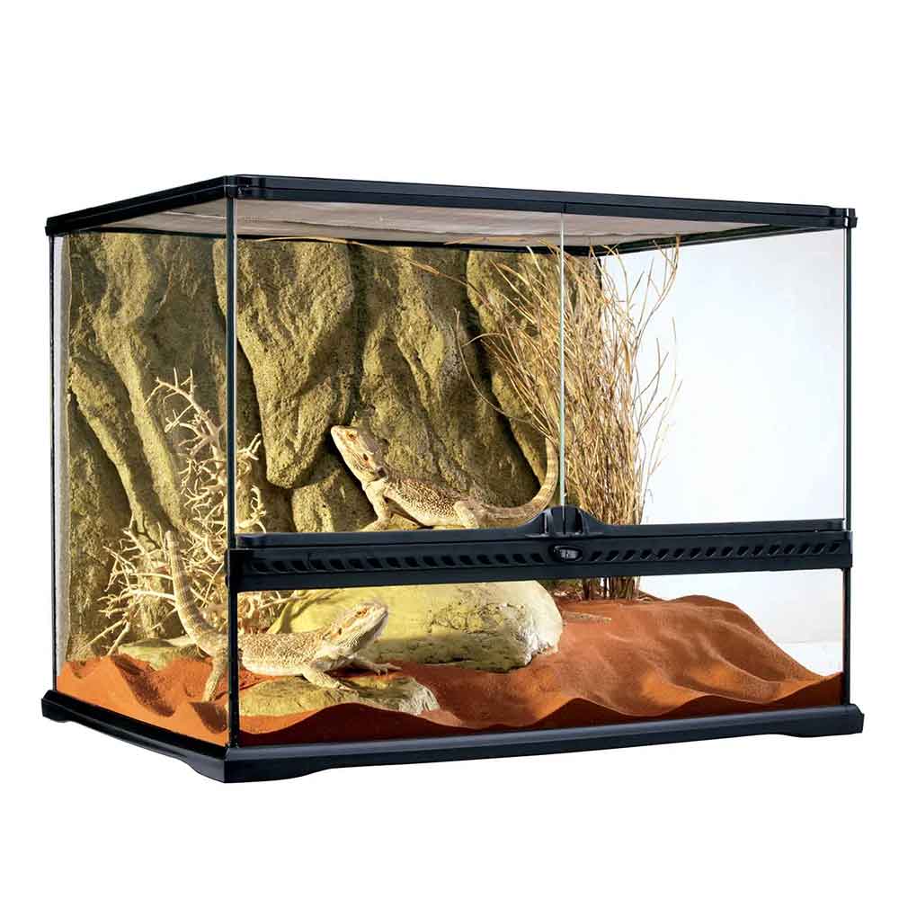 Exoterra Natural Terrarium Medium Wide Terrario 60x45x45h cm