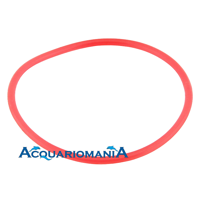 Wave Ricambio Oring Monarka 700/1000 4.6