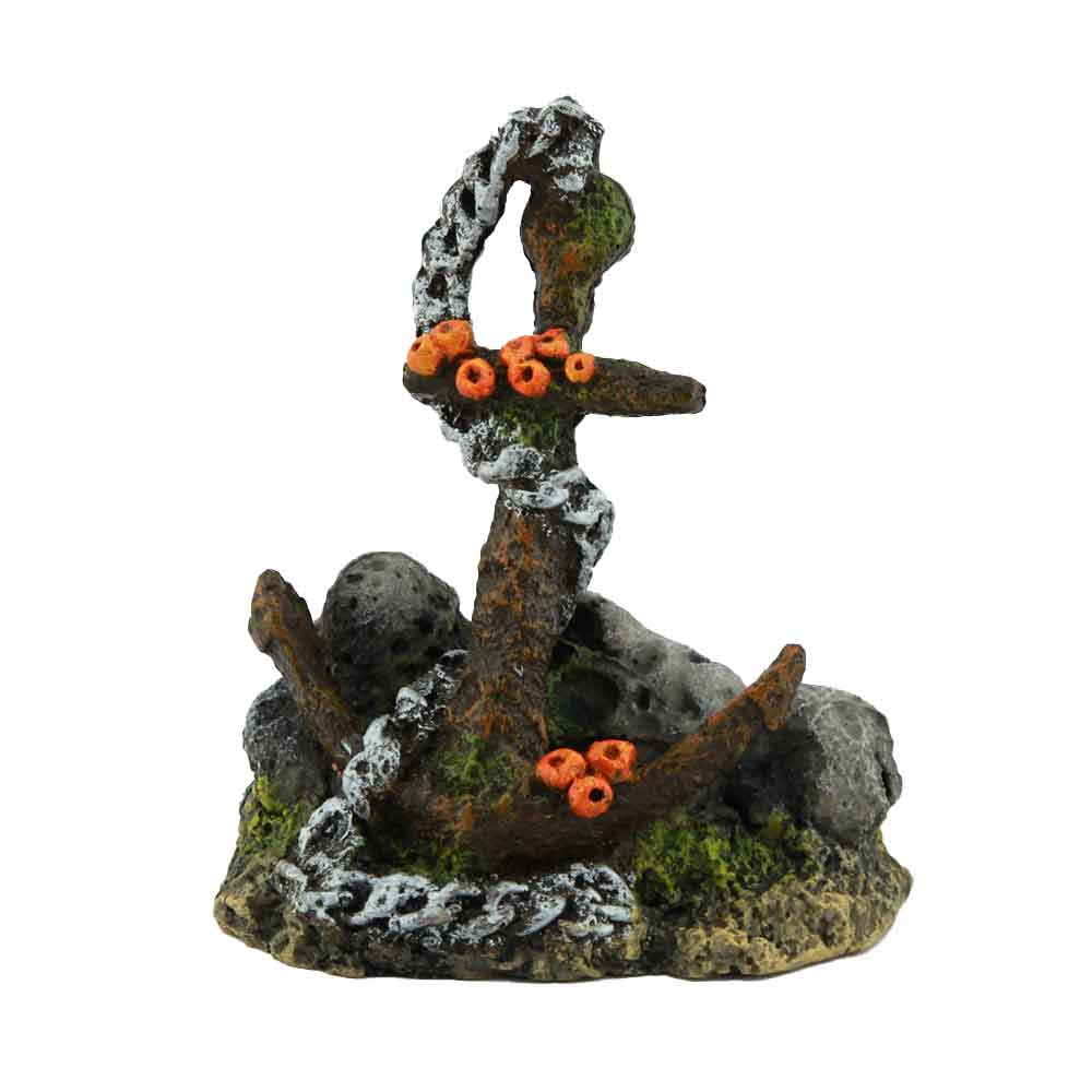 Amtra Ancora Tesori del mare 10cm