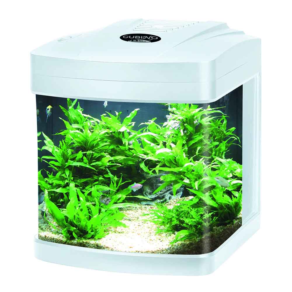 Blu Bios Cubino Bianco Acquario a Led completo 26 litri
