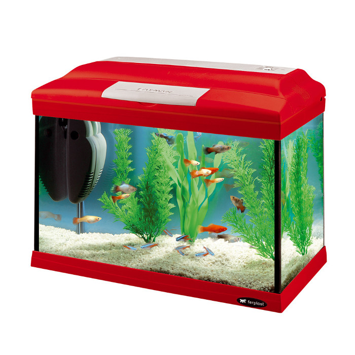 Ferplast Acquario Cayman 40 Colours 41,5 x 21,5 x h 34 cm - 21 L