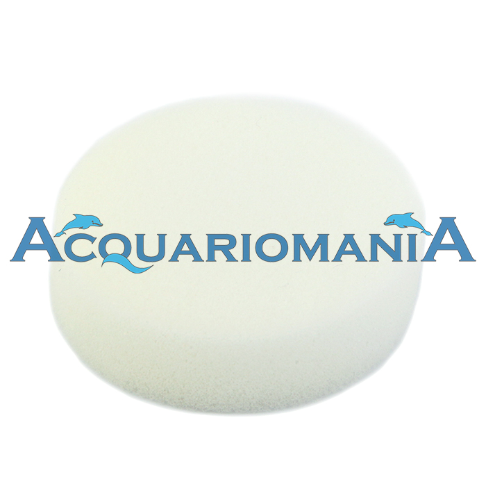 Forwater Spugna di ricambio per cartucce vuote e silco in linea