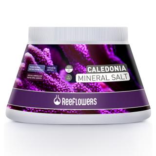 ReeFlowers Caledonia Mineral Salt 1000ml 1Kg
