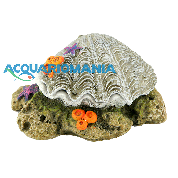 Amtra Conchiglia "Apri e chiudi" Silver con attacco per Areatore 10cm