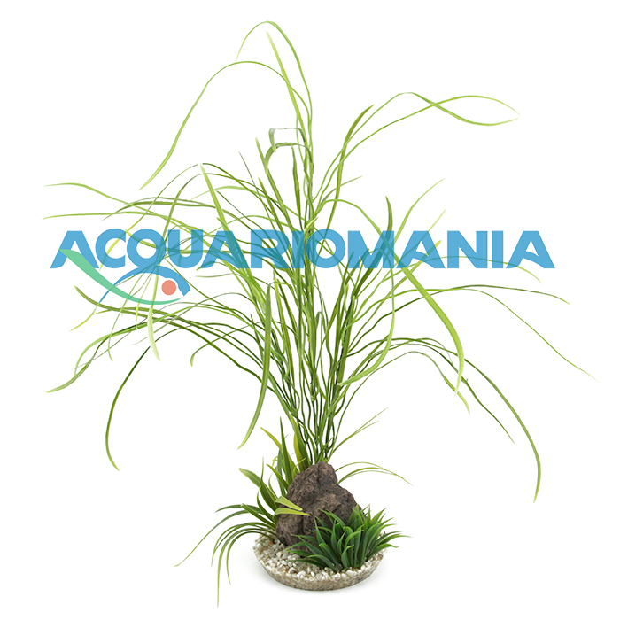 Sydeco Pianta Grass Maxi con roccia lavica 43cm