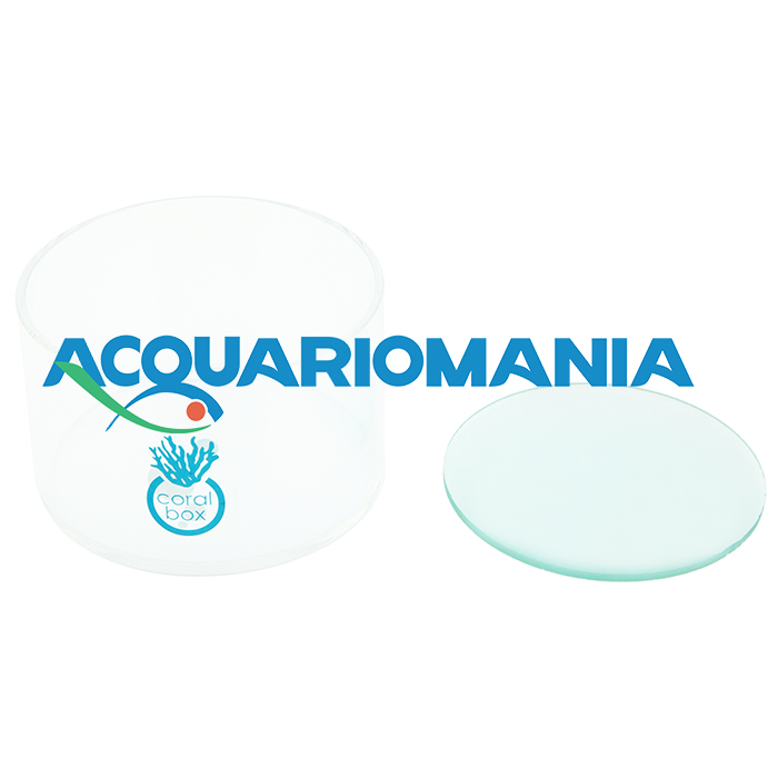 Coral Box Strumento per osservazione coralli con lente ingrandimento 11cm