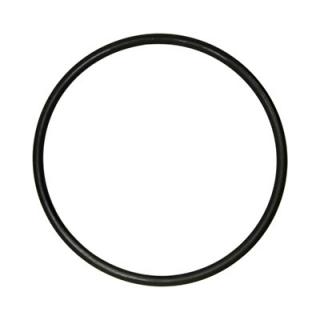 Askoll Ricambio Oring per Filtro Pressure Flo 2500/5000/8000/12000
