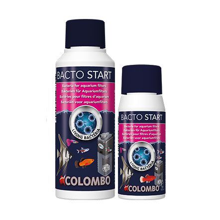 Colombo Bacto Start Batteri per avvio filtri biologici 100ml