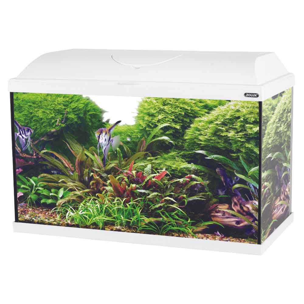 Zolux Acquario Iseo 60 Led Bianco 57 litri