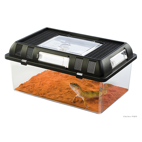 Exoterra Breeding Box Medium 302x196xh147mm