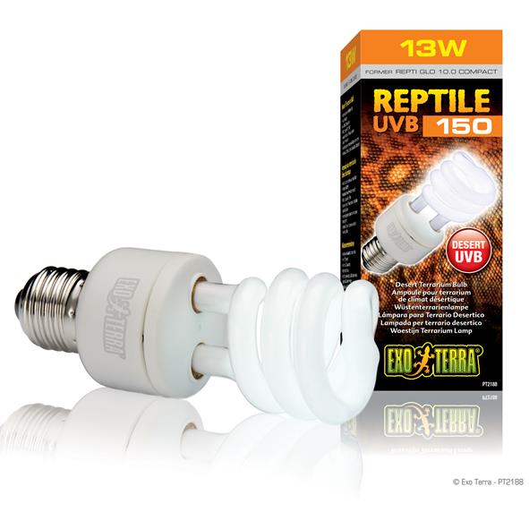 Exoterra Reptile UVB 150 per Terrario Desertico 13W