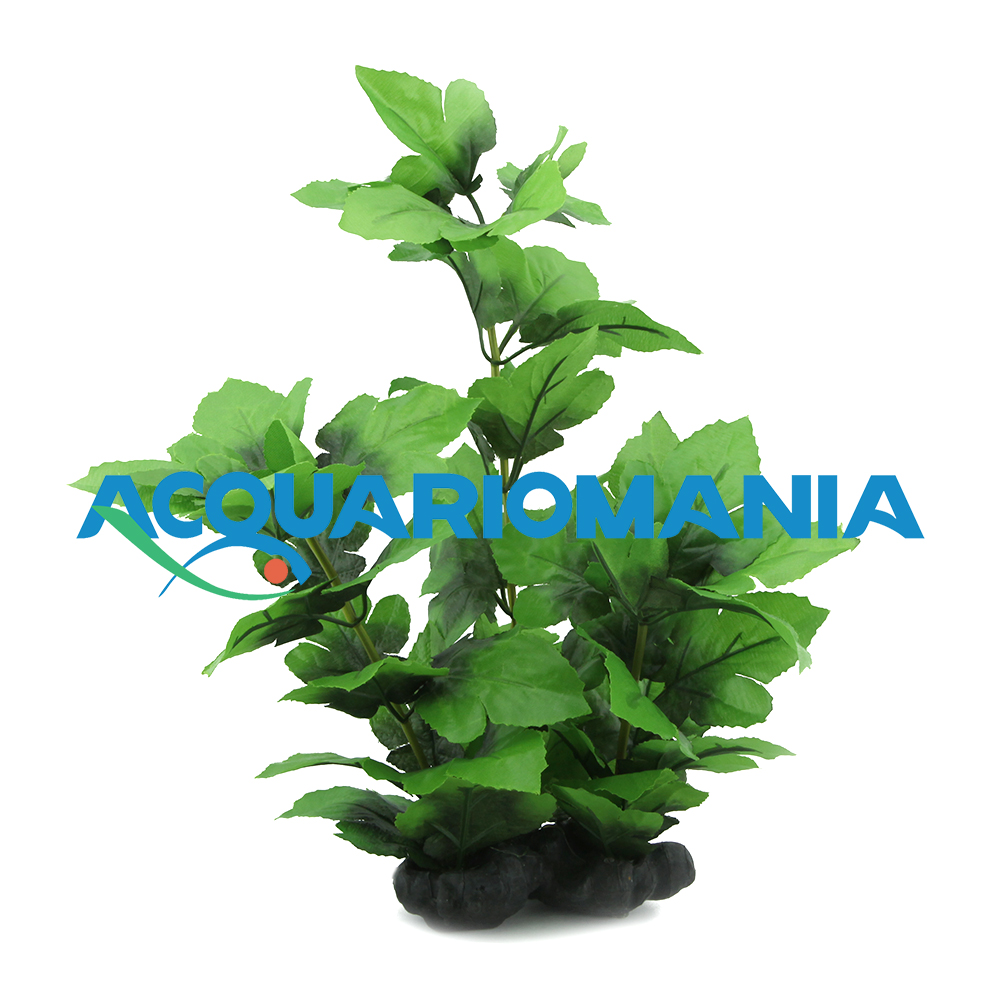 Blu Bios Pianta Dekor Wonder M 30cm