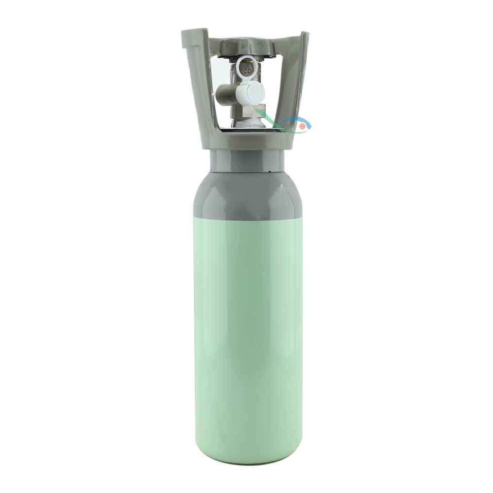 Bombola CO2 Ricaricabile in acciaio con attacco "CO2 standard" 2Kg