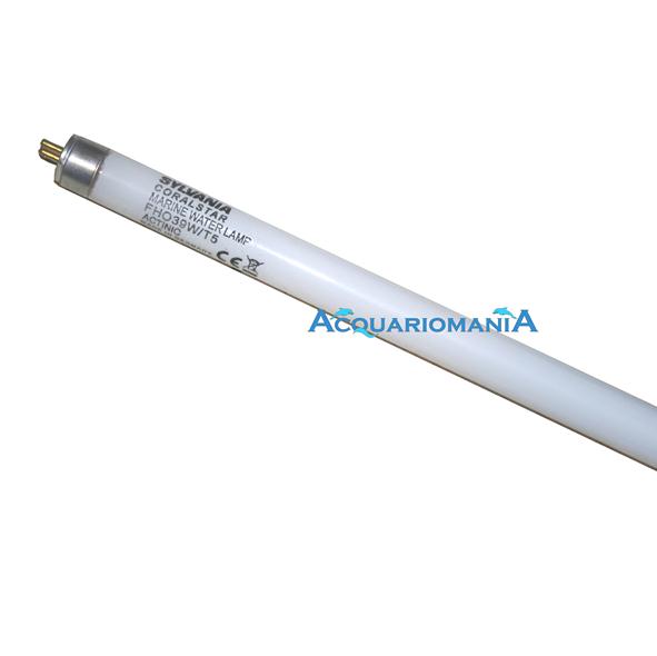Sylvania Coral Star Lampada T5 Neon Marino attinica 54W 1150mm