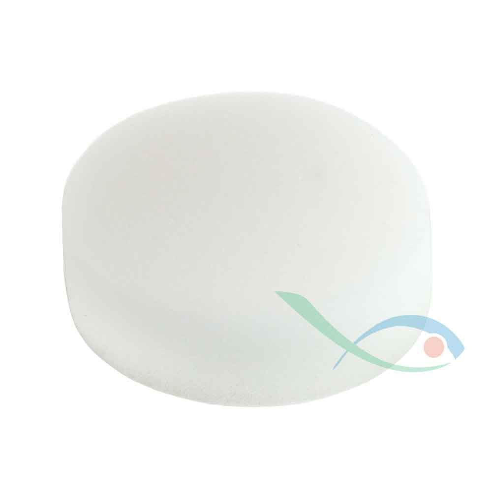 Forwater Spugna di ricambio per cartucce vuote da 10"