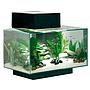 Askoll Acquario Fluval Edge 2.0 Led e Luce lunare 23Lt Black 43x26x22,4 new 2018