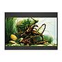 Oase Acquario StyleLine 125 con Supporto Nero 70x36x50 115 litri