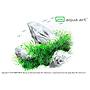 Aqua Art Eleocharis acicularis "Mini" in Vitro Cup