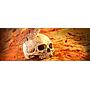 Exoterra Primate Skull nascondiglio sicuro per rettili