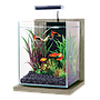 Zolux Jalaya 2 Acquario Zebrano grigio 10 litri