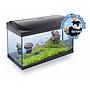 Tetra Acquario Starter Line Led 16W Completo 76x48x37cm 105litri New 2022 Con Luce Notturna