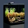 Dennerle Nano Cube Basic 20 Acquario 20Lt 20x20x25h cm