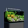 Dennerle Nano Tank Plant Pro Acquario completo 35 L