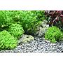 Dennerle Planta Hunter Plant River S Ghiaia Naturale 4-8mm 5Kg
