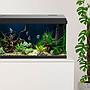Aqpet Acquario Simply Led 60 60x30x39h cm 60 litri