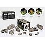 Aquadeco Mini Landschaft Seiryu Rock Set per Acquari di 60 litri circa