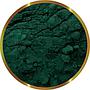 Shg Spirulina in Polvere Extrafine 25gr
