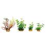 Zolux PlantKit Mini 2 Assortimento 4 piantine in plastica