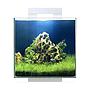 Ciano Aquarium Nexus Pure Cube15 con coperchio 14Lt 25x25x31,5h cm