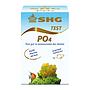 Shg Test PO4 Fosfati per acqua dolce 40 misurazioni